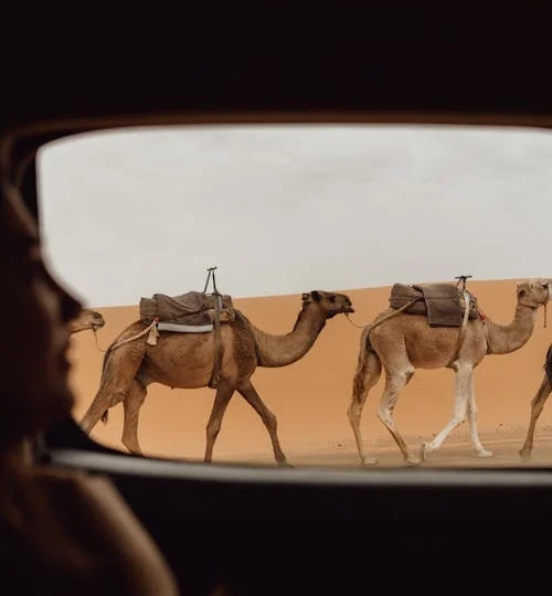 Merzouga