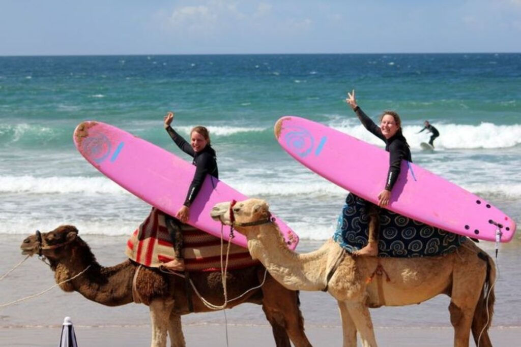 surf
